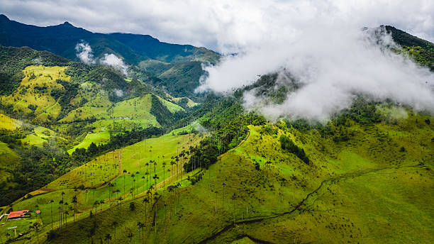 Valle del Cauca landscape with green mountains